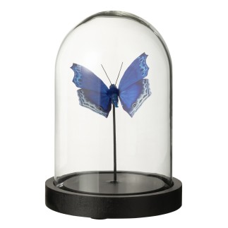 Mariposa en cloche de cristal transparente 11.5x11.5x16 cm