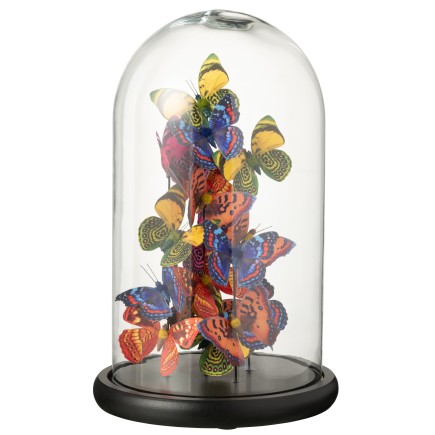 Papillons sous cloche en verre transparent 23x23x38 cm