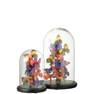 Papillons sous cloche en verre transparent 23x23x38 cm