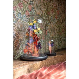 Papillons sous cloche en verre transparent 17.5x17.5x26 cm