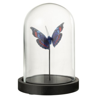 Papillon sous cloche en verre transparent 11.5x11.5x16 cm