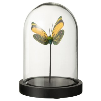 Mariposa en cloche de cristal transparente 11,5x11,5x16 cm