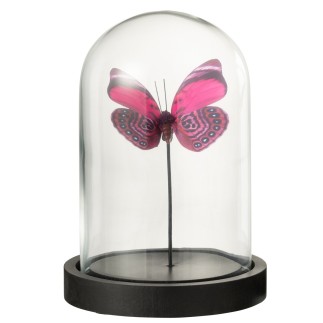 Mariposa en cloche de cristal transparente 11,5x11,5x16 cm