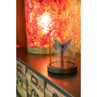 Papillon sous cloche en verre transparent 11.5x11.5x16 cm