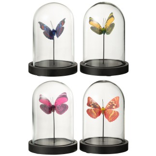 Mariposa en cloche de cristal transparente 11,5x11,5x16 cm