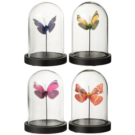 Mariposa en cloche de cristal transparente 11,5x11,5x16 cm