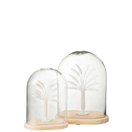 Palmier sous cloche en verre transparent 17x12x22