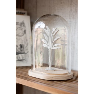 Palmera en cloche de cristal transparente 17x12x22