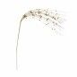 Fleur décorative Balles Doré 78 x 2 x 9 cm (24 Unités)