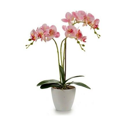 Planta Decorativa Orquídea Plástico 20 x 49 x 26 cm (4 Unidades)