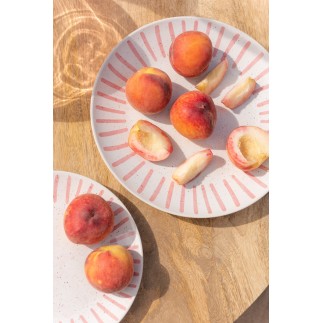 Assiette plate en porcelaine rose 22x22x3 cm