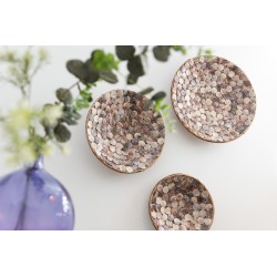 Set de 3 adornos de pared redondos de hoja de plátano y concha