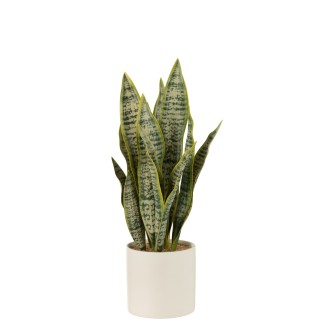 Maceta de sansevieria artificial de plástico verde de 8x8x28 cm