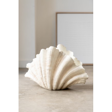 DECO VASE CLAM SHELL RES WH