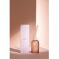 Diffuseur d’accords essentiels «Rose Rêveuse» 250ml en verre 7.5x7.5x27.5 cm