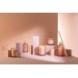 Diffuseur d’accords essentiels «Rose Rêveuse» 250ml en verre 7.5x7.5x27.5 cm