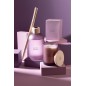 Vela perfumada «Higo Frívolo» 52h en parafina blanca 10.5x10.5x14 cm