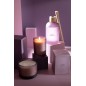 Bougie senteur «Figue Frivole» 28h blanche 11.5x1.5x10 cm