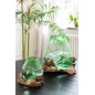 Vase sur pied bois en verre recyclé vert 23x19x19 cm