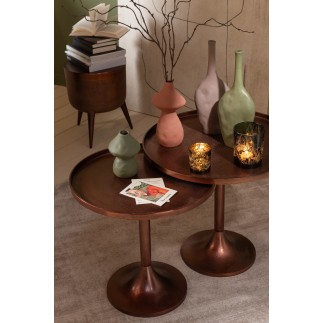 VASE CHAMPIGNON POR MIX S ASS2