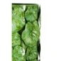 Vaso em forma de concha em metal verde 18x17,5x46 Vaso em forma de concha em metal verde 18x17,5x46