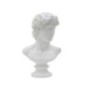 Busto romano in resina bianca 21,5x14,5x34 cm