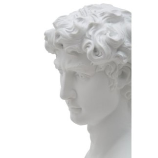 Busto romano de resina blanca 21,5x14,5x34 cm