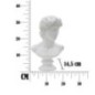 Busto romano in resina bianca 21,5x14,5x34 cm