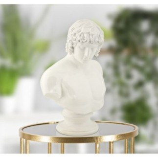 Busto maschile in resina bianca 18,2x12,8x25 cm