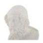 Busto de um sábio em resina branca, 12,9 x 12,5 x 25 cm Busto de um sábio em resina branca, 12,9 x 12,5 x 25 cm