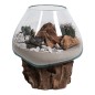 Vase sur socle bois en verre transparent 18x20 cm Vase sur socle bois en verre transparent 18x20 cm