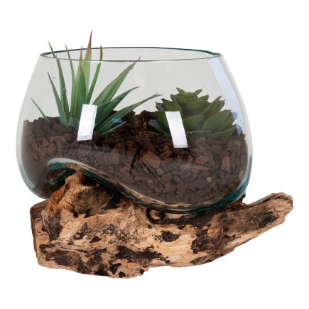 Jarrón sobre rama de madera en vidrio transparente 15x15x15 cm