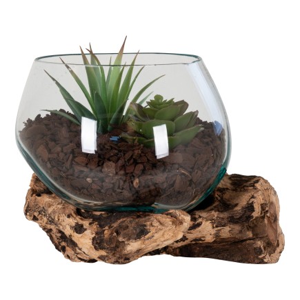 Vase sur branche bois en verre transparent 15x15x15 cm