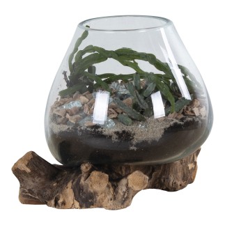 Vaso su base di legno in vetro trasparente 18x20 cm
