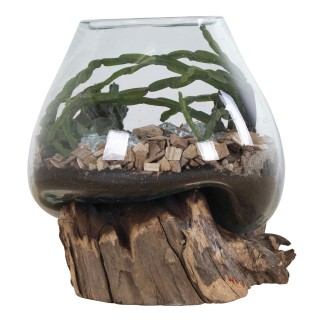 Vaso su base di legno in vetro trasparente 18x20 cm