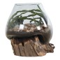 Vase sur socle bois en verre transparent 18x20 cm Vase sur socle bois en verre transparent 18x20 cm