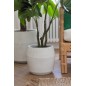 Macetero de cerámica blanco 50.5x50.5x49.5 cm (juego de 3) Macetero de cerámica blanco 50.5x50.5x49.5 cm (juego de 3)