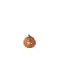 Welcomme calabaza de cerámica marrón 11x10.5x12 cm Welcomme calabaza de cerámica marrón 11x10.5x12 cm
