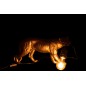 Lampe puma en résine Or 40x11x20cm Lampe puma en résine Or 40x11x20cm