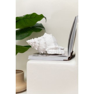 Coquillage en poyrésine blanche 15x17x13 cm