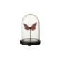 Cloche avec papillon en verre Bordeaux 11.5x11.5x16 cm Cloche avec papillon en verre Bordeaux 11.5x11.5x16 cm