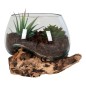 Vase sur branche bois en verre transparent 15x15x15 cm