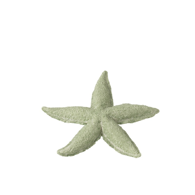 Petite étoile de mer en polyrésine verte 20x20x3 cm Petite étoile de mer en polyrésine verte 20x20x3 cm