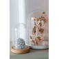 Cloche décorative socle bois beige en verre transparent 11.5x11.5x16cm Cloche décorative socle bois beige en verre transparent 11.5x11.5x16cm