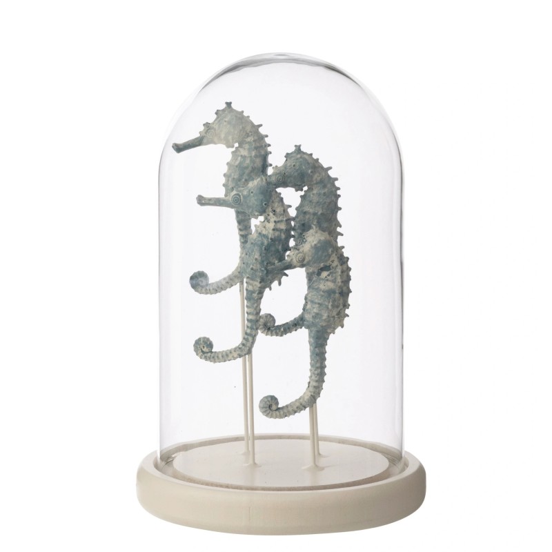 Cloche décorative avec hippocampe en verre socle blanc 14x14x22 cm