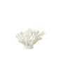 Coral em poliresina branca 19x17x18 cm Coral em poliresina branca 19x17x18 cm