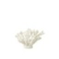 Coral de poliresina blanca 19 x 17 x 18 cm Coral de poliresina blanca 19 x 17 x 18 cm