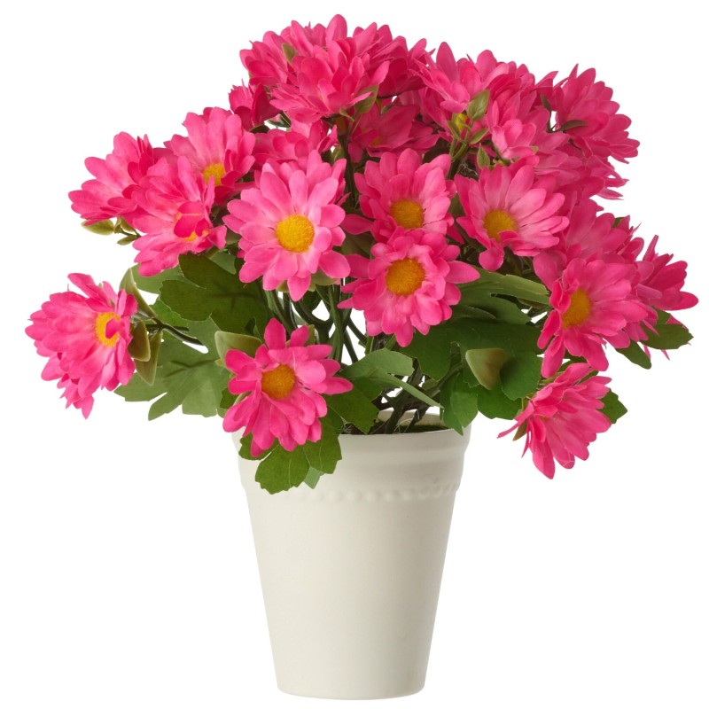 Margherita artificiale in plastica rosa 15x15x21 cm Margherita artificiale in plastica rosa 15x15x21 cm