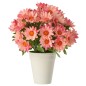 Marguerite artificielle en plastique rose 15x15x21 cm