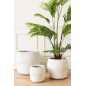 Palma artificiale in vaso di plastica verde 110x110x180 cm